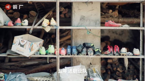 梦见我拉着马,梦见马拉我走什么意思