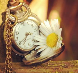 梦见捡了两串佛珠，梦见捡了一尊佛