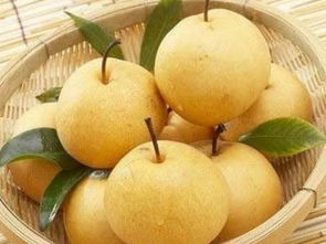 做梦梦见梨树摘梨，做梦梦见梨是什么预兆