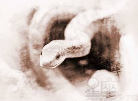 梦到看见大蛇 追着蛇看，梦里遇到大蛇在追自己