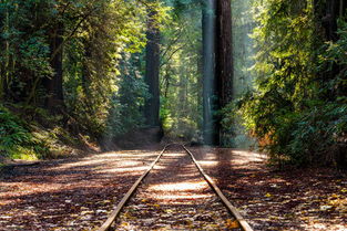 梦见在山村迷路，梦见山里迷路后来走出来了