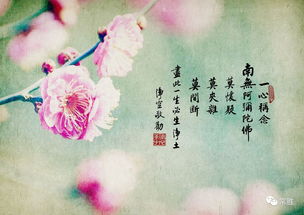 昨晚梦见同学，梦到梦到同学