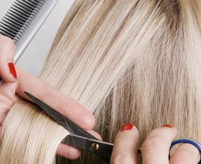 梦见剪发没剪好吵架,梦见剪发没剪好啥意思