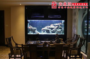 梦见买鱼缸和鱼是什么意思，梦见买鱼缸怎么也没有合适的