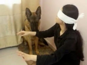 梦见同学瞎了一只眼，梦到同学眼睛瞎了一个