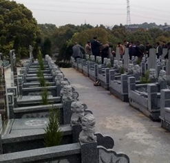 梦见在坟地玩儿，梦见在坟地里被鬼追