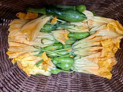 梦见买面瓜，梦见自己卖面条是什么意思