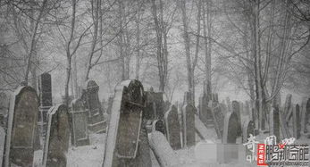 梦见去坟地送灯，梦见上坟送灯