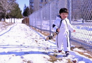 梦见在雪地里拉屎 蹭自己一身，梦见雪地里拉屎什么意思