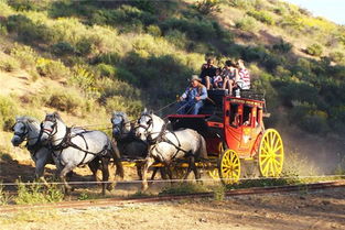 梦见马车坏了什么意思，梦见一挂马车马