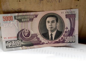 梦到手机和钱丢了又找到了，梦见钱和手机丢了又找回来