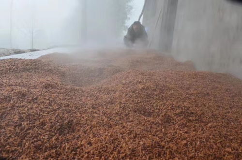 梦见父亲酿酒,梦见父亲在喝酒