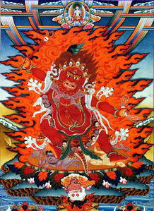 梦见马头顶我是什么意思，做梦梦见马头