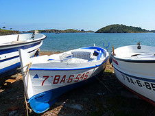 梦见追赶朋友，梦见追朋友追不到