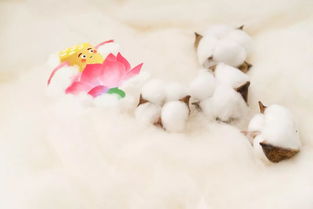 梦见自己在地上捡小米，梦见自己在田里捡谷子