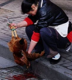 梦见老家不住人的房子，梦见老家住