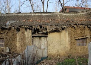 梦见屋里漏粪水，梦见家里漏粪水了是什么征兆