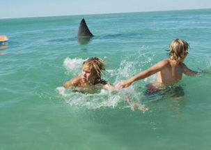 梦见游泳追船，梦见游泳溺水被救什么意思