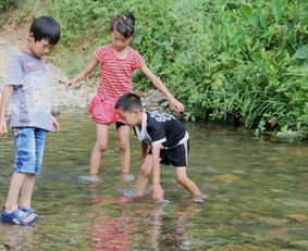 梦见在溪里捞很多鱼，梦到在小溪里抓了很多鱼