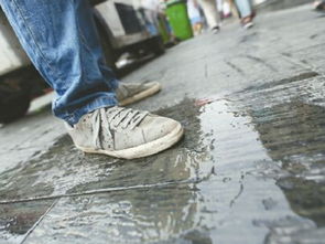 做梦梦见脏水沟，做梦梦见脏水井里的黑虫子在爬