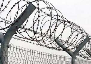 梦见吃面条吃出铁丝，梦见铁丝网是什么意思