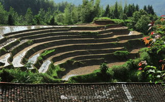 梦见在山间跳跃，梦见往山下跳