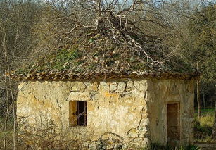 梦见新房破烂，梦见自己房子破破烂烂的