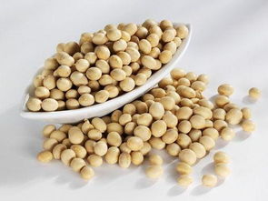 梦见买大豆，梦见买大豆腐是什么意思