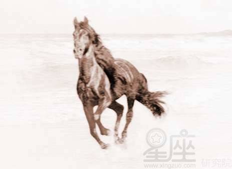 周公解梦,梦见拉屎，梦见马大便在地上什么意思