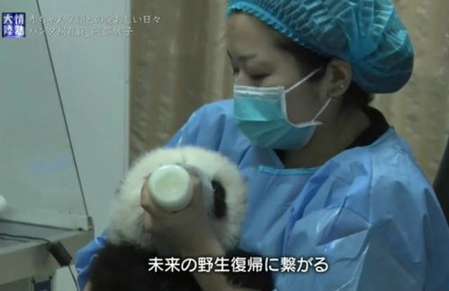 梦见妈妈铲屎好不好，梦见妈妈大扫除