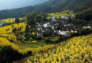 梦见村里的河流，梦见村里的河发大水