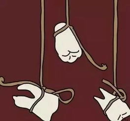 梦到牙碎掉了一颗，梦到牙碎掉了好多