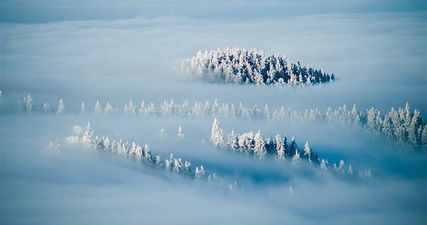 梦到自己长白发了怎么回事，梦见头发一夜变白了是什么意思
