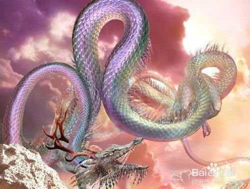 关于解释梦的书籍，有关解释梦境的书籍