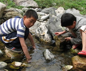 周公解梦梦见怕螃蟹吃肉，周公解梦梦见螃蟹吃螃蟹