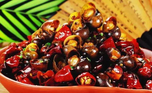 梦到很多蝎子满地爬，梦到很多螺丝贝壳