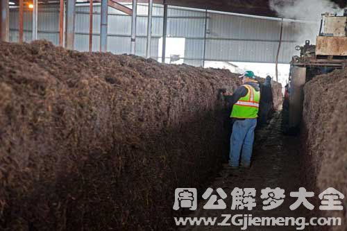 梦见肥料是什么意思，梦见积肥什么意思