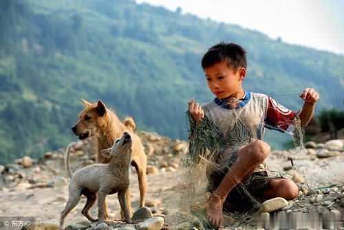 梦见自己家的保家仙是白仙，梦见白大仙