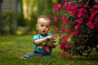 梦见捡到个婴儿好不好，梦见捡到婴儿预示什么