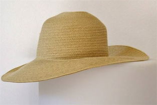 梦到草帽子,梦到草帽飞上一大片白云