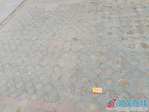 梦到满地都是钉子什么预兆，梦见地上很多钉子,但一根没碰到