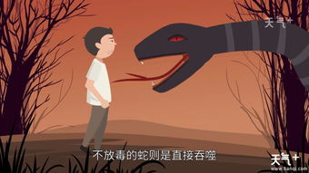 做梦梦见不追你了，梦到追人一段不追了