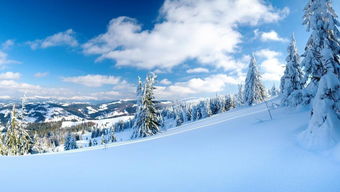 梦到假雪，梦见假的雪花飘落