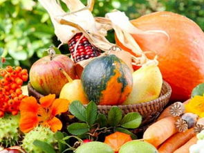 梦见瓜果坏了是什么意思，梦见瓜果是什么预兆