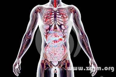 梦见自己内脏,梦见看见自己内脏