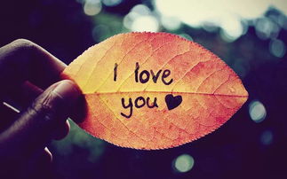 梦里梦见数字，梦中梦见数字