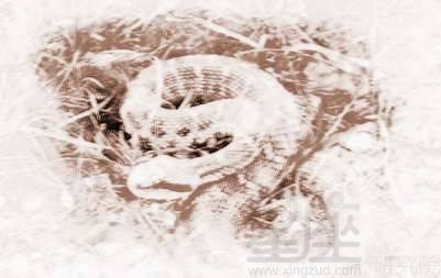 妇女梦见白蛇是什么意思，女的梦见白蛇怎么回事