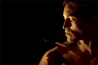 梦见孩子养蛇，梦见养小蛇是什么预兆