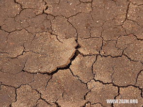 梦见打孩子耳光打不着，梦见打孩子耳光流血