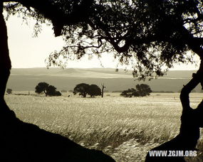 梦见去关门,有人突然闯进来，梦见去关门门突然掉下来了什么意思